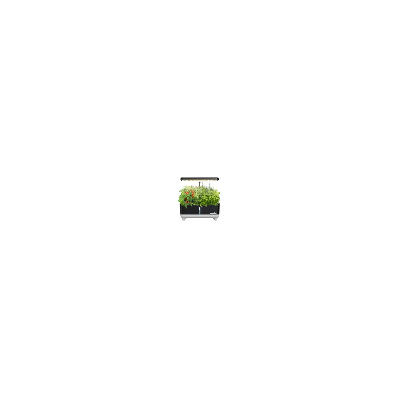 RainPoint Hydroponic Growing Kit